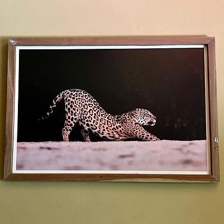 Casa Jaguar Villa Puerto Iguazú Dış mekan fotoğraf