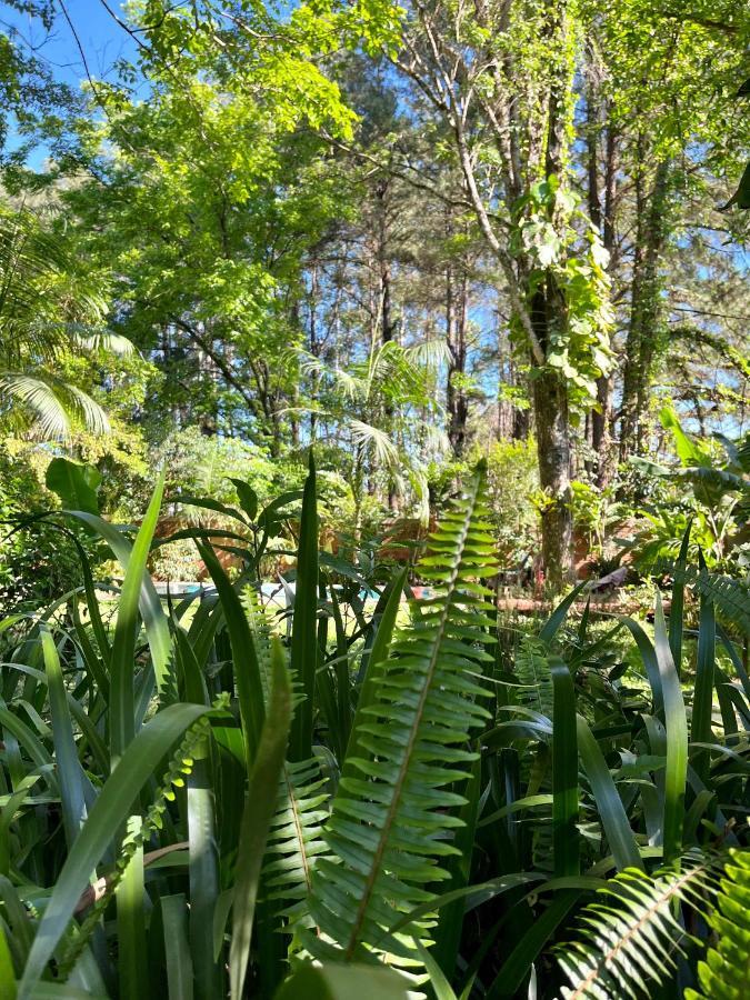 Casa Jaguar Villa Puerto Iguazú Dış mekan fotoğraf