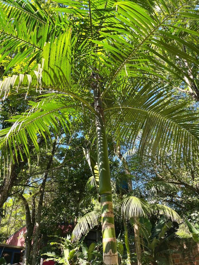 Casa Jaguar Villa Puerto Iguazú Dış mekan fotoğraf