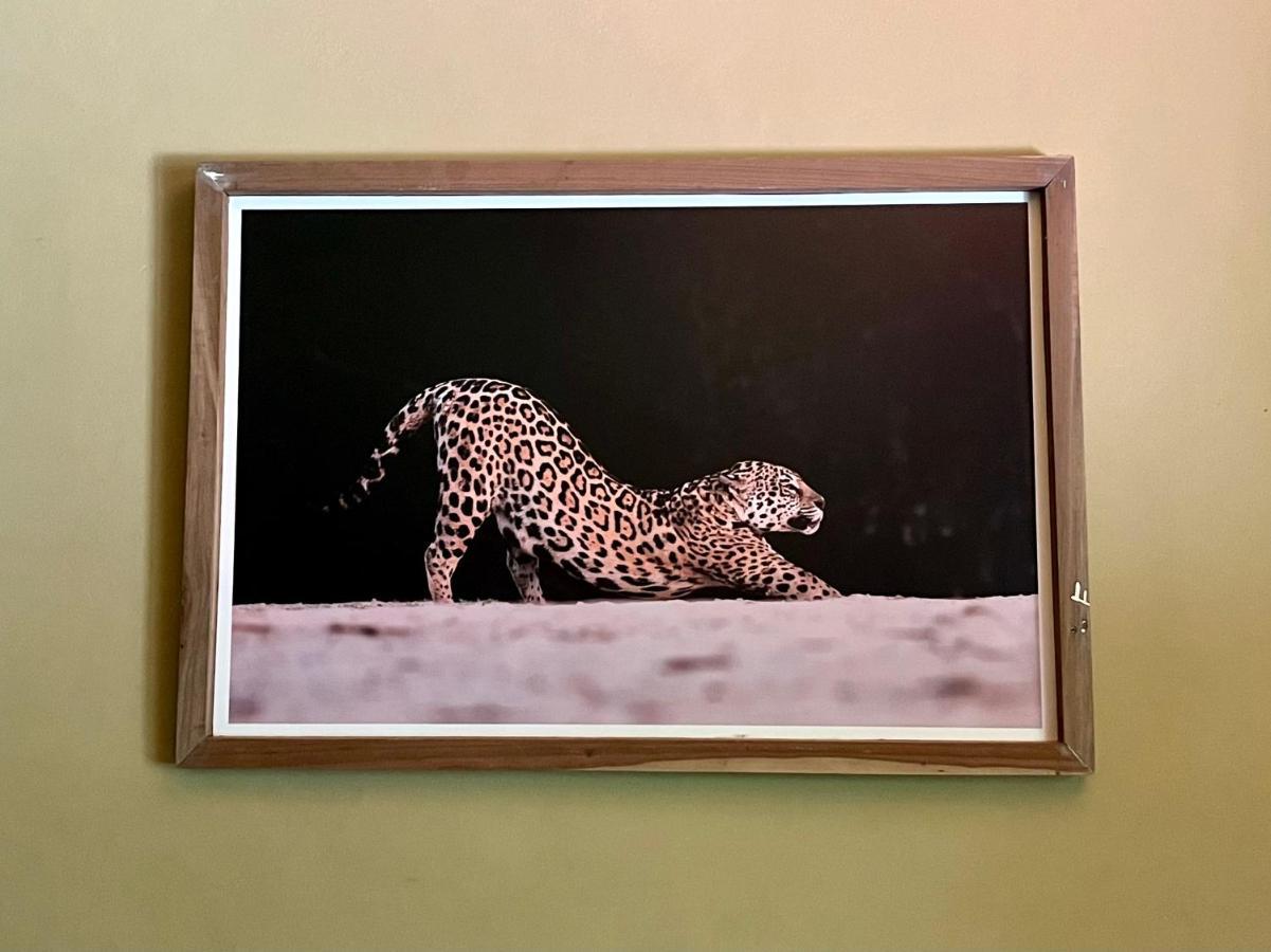 Casa Jaguar Villa Puerto Iguazú Dış mekan fotoğraf