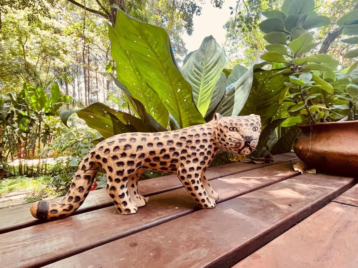 Casa Jaguar Villa Puerto Iguazú Dış mekan fotoğraf